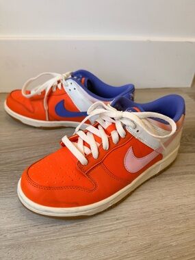 Nike Dunk Low SE Everything You Need (size 6.5 Y - 8 Women’s)